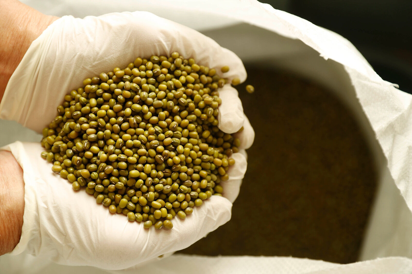 Mung bean seeds